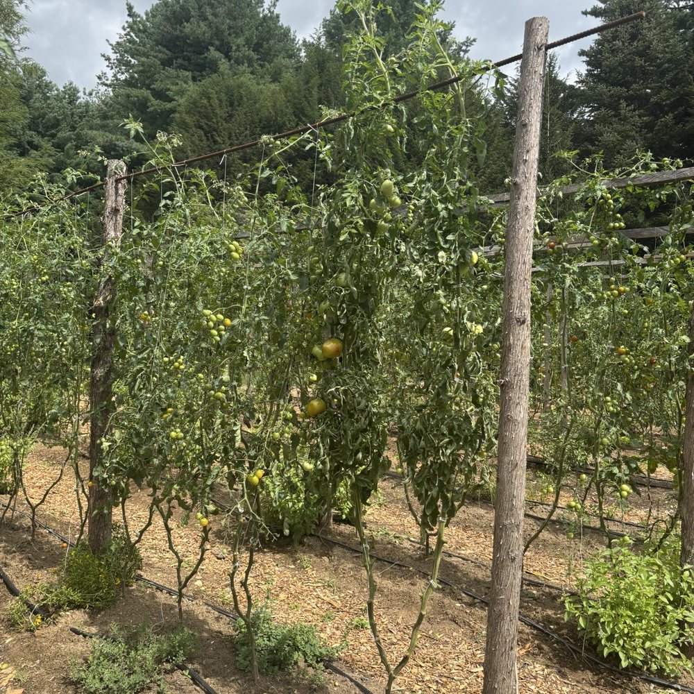 Bedford Farms - Nurseries & Gardening Near Me - Bedford, New York Bedford Farms - Nurseries & Gardening Near Me - Bedford, New York