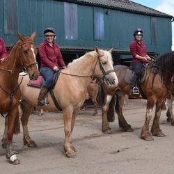 Anglesey Riding Centre