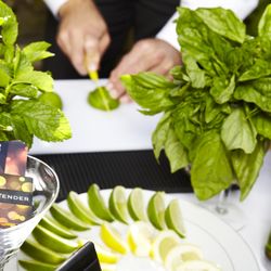 The Bartender Company - Perfect herbs, zests, and wedges