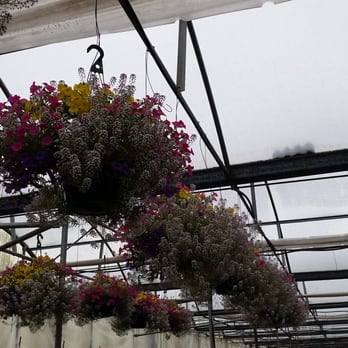 Snohomish Garden Center - Nurseries & Gardening Near Me - Snohomish, Washington Snohomish Garden Center - Nurseries & Gardening Near Me - Snohomish, Washington