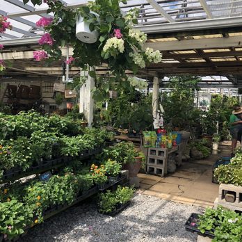The Plant Gallery - Florists Near Me - Metairie, Louisiana The Plant Gallery - Florists Near Me - Metairie, Louisiana