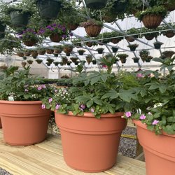 The Pollinators Meadow - We are a Greenhouse  focused on promoting and protecting pollinators.