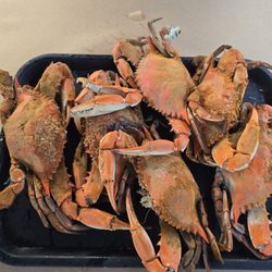 The Jetty - Extra large crabs...