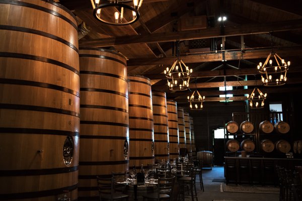 Dry Creek Vineyard by null