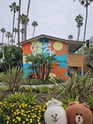 Town and Country Resort by null