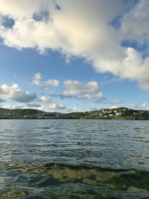 Virgin Islands Ecotours - St. Thomas by null