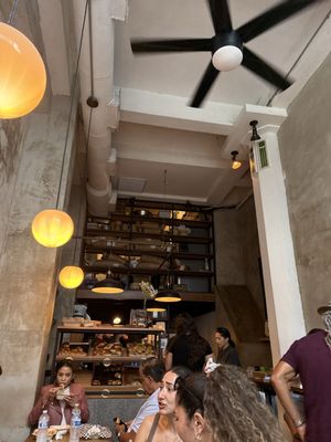 Spiga by null