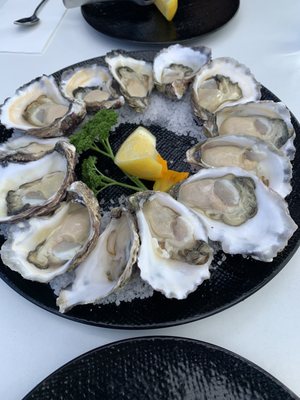 Wheeler's Seafood Restaurant & Oyster Bar by null