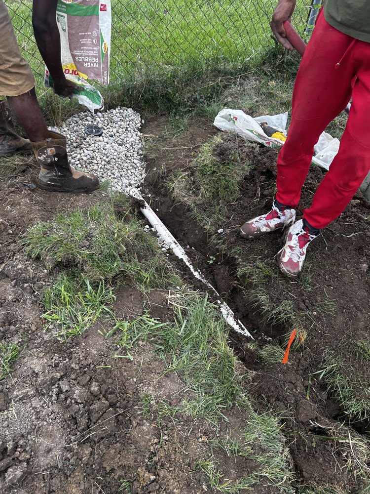 Slide of Shawn's Botany and Lanscaping