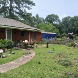 Maddox and Son's Tree Service - Another job