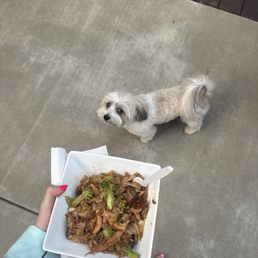 Pad See Ewe