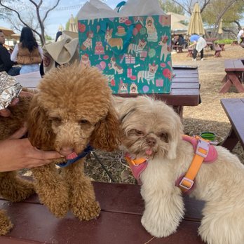 Oasis Pet Grooming - Fresh cut - Pet Groomers Near Me - Phoenix, Arizona