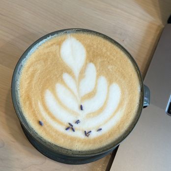 Black Oak Coffee Roasters - Lavender Latte - Coffee & Tea Near Me - Healdsburg, California
