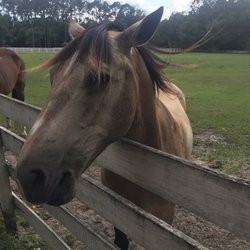 Haile Equestrian Center