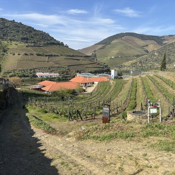 Quinta do Bomfim - Wineries Near Me - Alijó, 17