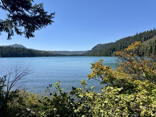 The Suttle Lodge & Boathouse by null