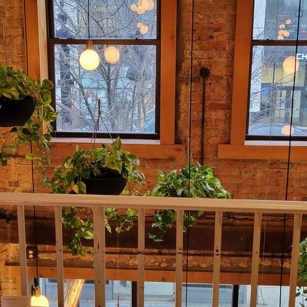 Cynthia - Lots of plants, wood and brick make for a very homey environment - New American Near Me - Washington, DC, District of Columbia Cynthia - Lots of plants, wood and brick make for a very homey environment - New American Near Me - Washington, DC, District of Columbia