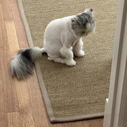 No fluff...