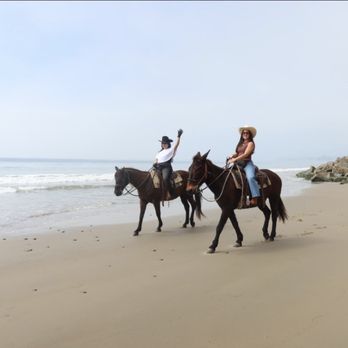 Los Padres Outfitters - Horseback Riding Near Me - Carpinteria, California Los Padres Outfitters - Horseback Riding Near Me - Carpinteria, California