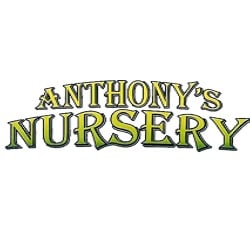 Anthony's Nursery