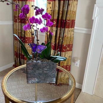 Blossom Flower Shops - Purple orchid - Florists Near Me - Yonkers, New York