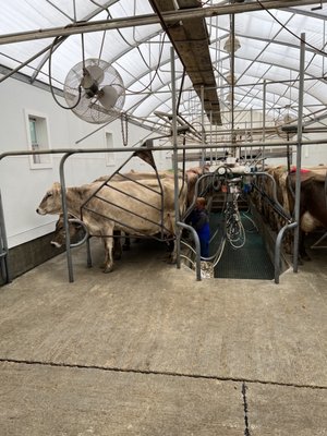 Shelburne Farms by null