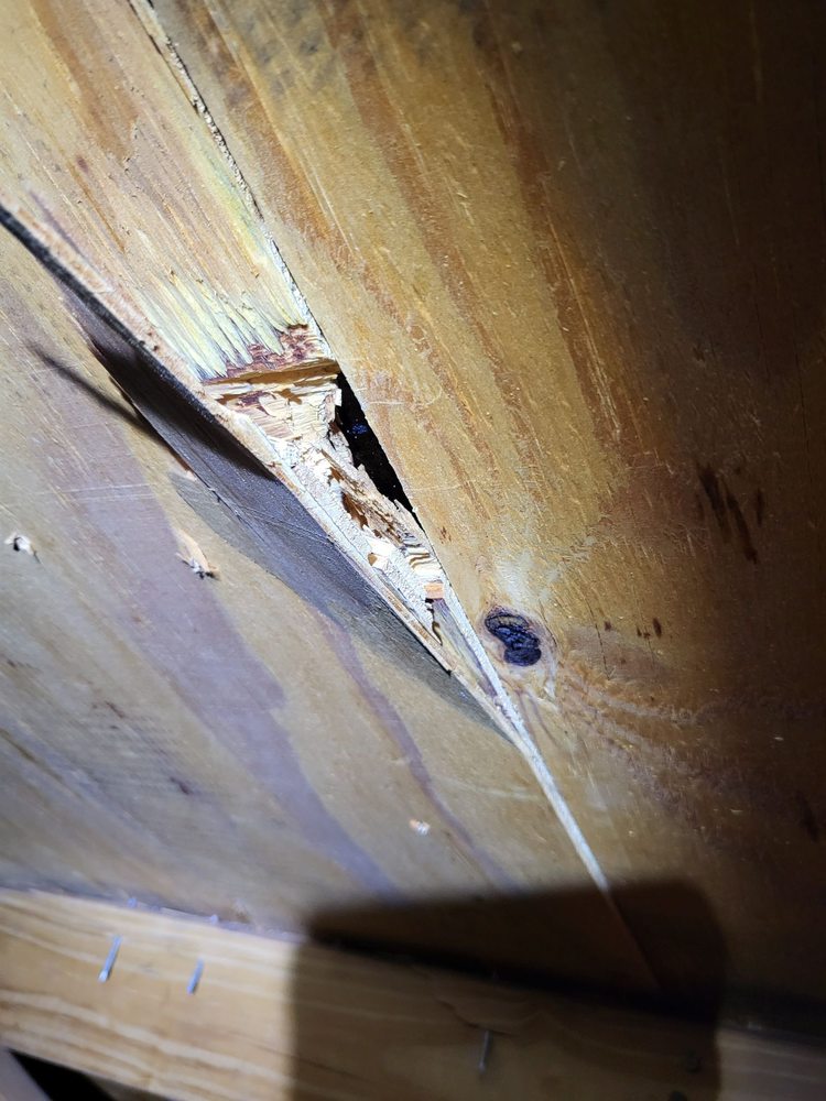 Slide of Treasure Coast Roofing