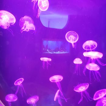 Discovery World - Children's Museums Near Me - Milwaukee, Wisconsin