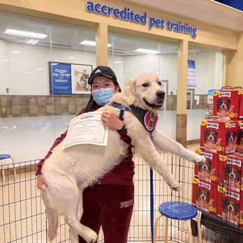 PetSmart - Max finished intermediate class - Pet Stores Near Me - Fremont, California PetSmart - Max finished intermediate class - Pet Stores Near Me - Fremont, California