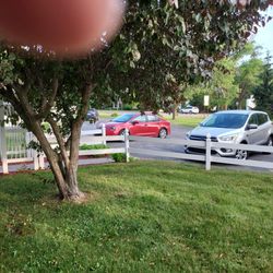 Honor Motel - This week 4 cars. One of them is mine