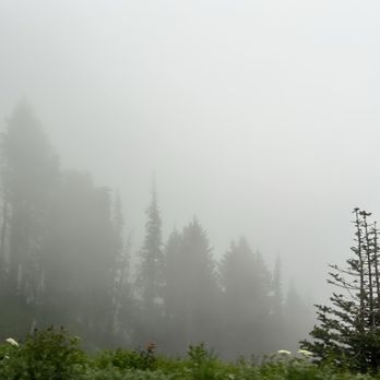 Olympic National Park - Parks Near Me - Port Angeles, Washington