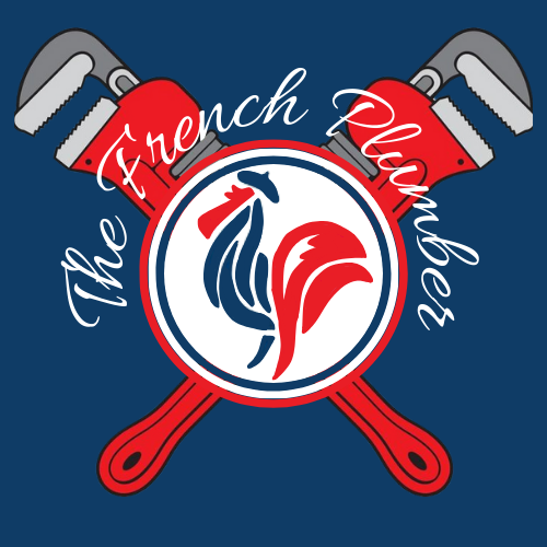 Slide of The French Plumber
