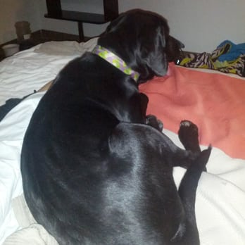 Motel 6 - Pet friendly! - Hotels Near Me - Omaha, Nebraska Motel 6 - Pet friendly! - Hotels Near Me - Omaha, Nebraska