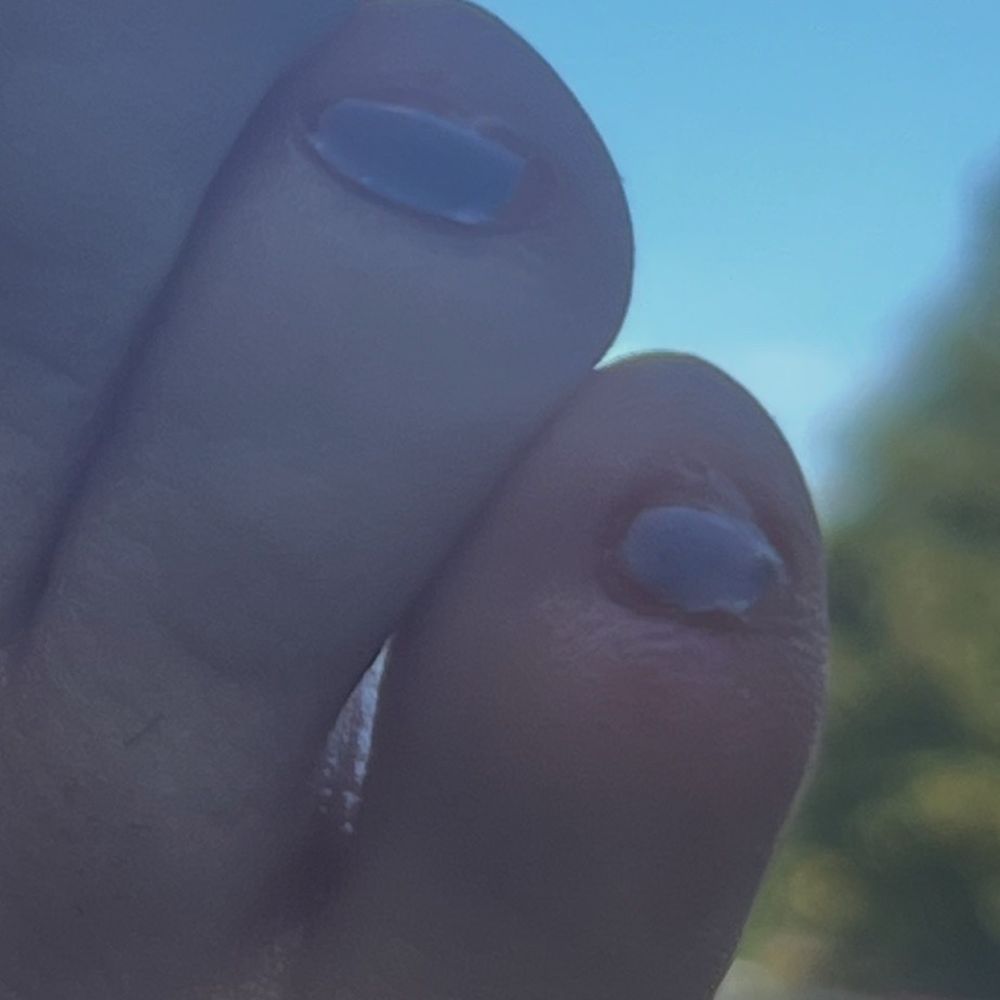 Fancy Nails - Nail Salons Near Me - Scotts Valley, California Fancy Nails - Nail Salons Near Me - Scotts Valley, California