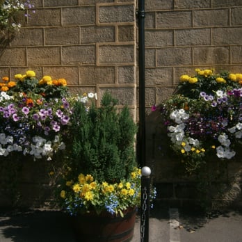 The Fleece - we were the enterprise runners up for our flower display and won £2000 for the pub - Pubs Near Me - Leeds, XWY The Fleece - we were the enterprise runners up for our flower display and won £2000 for the pub - Pubs Near Me - Leeds, XWY