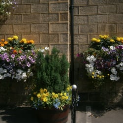 The Fleece - We were the enterprise runners up for our flower display and won £2000 for the pub