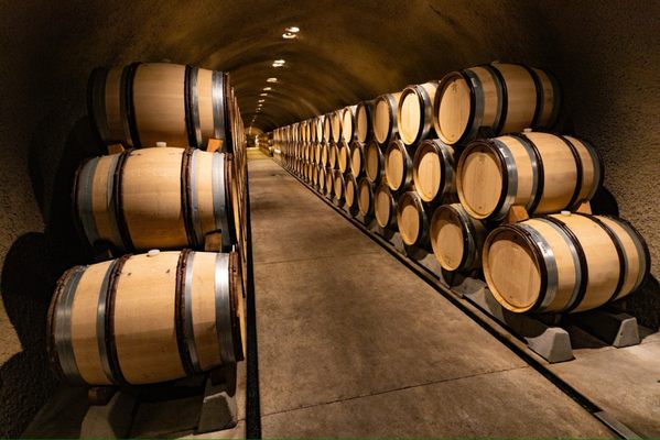 Far Niente Winery by null