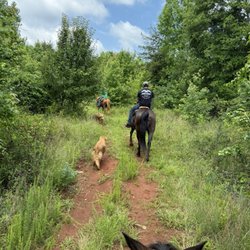 Upstate Trail Rides - Horseback riding