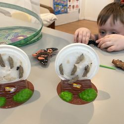 Sherman Oaks Child Care
