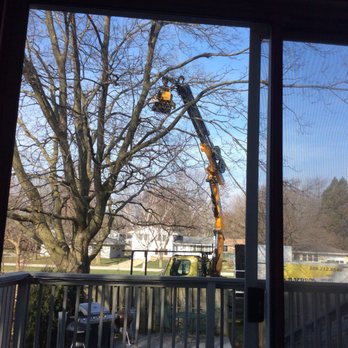 Oak Bros Tree Care & Removal - Tree trimming apparatus - Tree Services Near Me - Bloomington, Illinois Oak Bros Tree Care & Removal - Tree trimming apparatus - Tree Services Near Me - Bloomington, Illinois