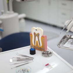Opitz Family Dental