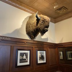 Ted's Montana Grill - Lots of ambiance!