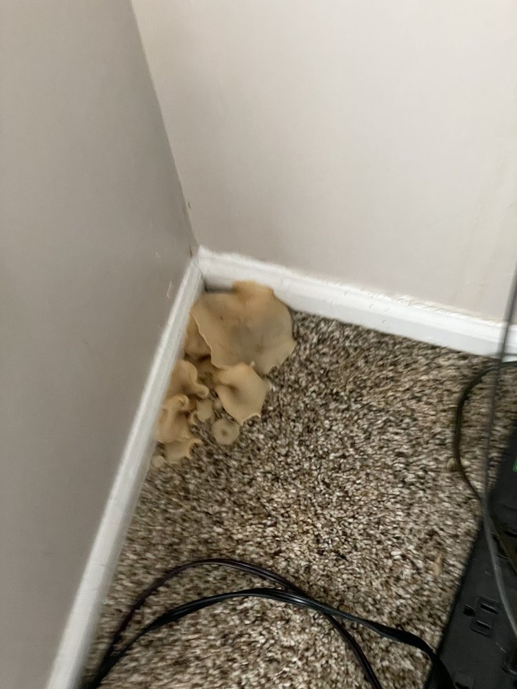 ASHERTON OF DUBLIN Updated August 2024 50 Photos 5400 Asherton Blvd, Dublin, Ohio