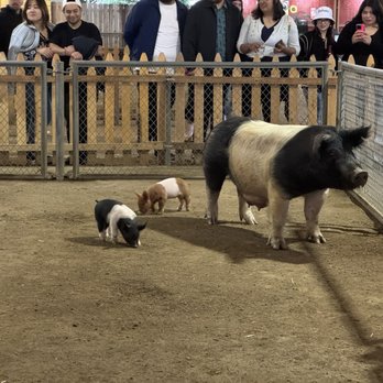 Los Angeles County Fair - Festivals Near Me - Pomona, California