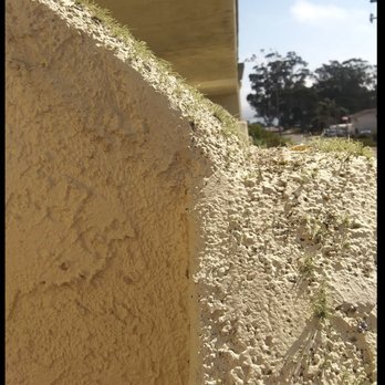 Hotel Avisa - lichen on balcony partition - Hotels Near Me - Morro Bay, California