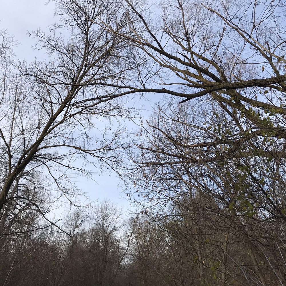 East Don Parkland - Nature - Parks Near Me - Toronto, Ontario East Don Parkland - Nature - Parks Near Me - Toronto, Ontario