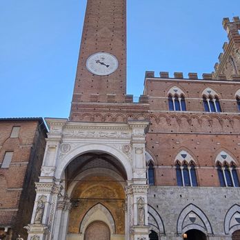 Piazza del Campo - Local Flavor Near Me - Siena, SI