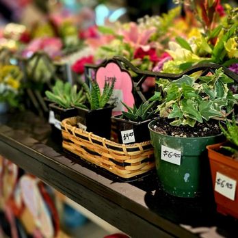 Lancaster County Dutch Market - Beautiful flower arrangement and homemade crafting items for the home - Public Markets Near Me - Germantown, Maryland Lancaster County Dutch Market - Beautiful flower arrangement and homemade crafting items for the home - Public Markets Near Me - Germantown, Maryland