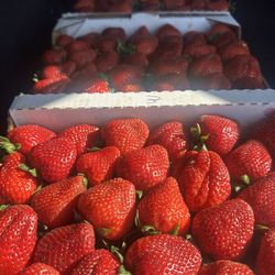 Williamson Produce - Strawberries from Williamson's farm strawberry stand