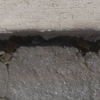 Kelly Masonry - Holes where the road and the lip of the driveway way meet - Masonry/Concrete Near Me Kelly Masonry - Holes where the road and the lip of the driveway way meet - Masonry/Concrete Near Me